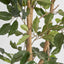 Artificial Ficus 1.2m - House of Isabella AU