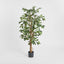 Artificial Ficus Tree 1.7m - House of Isabella AU