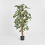 Artificial Ficus Tree 1.7m - House of Isabella AU