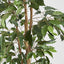 Artificial Ficus Tree 1.7m - House of Isabella AU