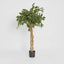 Artificial Ficus Ball Tree 1.2m - House of Isabella AU