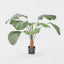 Fan Palm 1.22m W/10 Leaves - House of Isabella AU