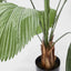 Fan Palm 1.22m W/10 Leaves - House of Isabella AU