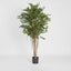 Artificial Ficus Retusa 1.8m - House of Isabella AU