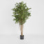 Artificial Ficus Retusa 1.8m - House of Isabella AU