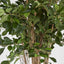 Artificial Ficus Retusa 1.8m - House of Isabella AU
