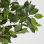 Artificial Ficus Retusa 1.8m - House of Isabella AU
