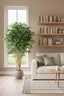 Artificial Ficus Retusa 1.8m - House of Isabella AU