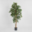 Artificial Ficus Retusa Bush Tree 1.8m - House of Isabella AU