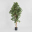 Artificial Ficus Retusa Bush Tree 1.8m - House of Isabella AU