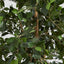 Artificial Ficus Retusa Bush Tree 1.8m - House of Isabella AU