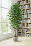Artificial Ficus Retusa Bush Tree 1.8m - House of Isabella AU