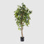 Artificial Ficus Vine Tree 1.8m - House of Isabella AU