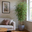 Artificial Ficus Vine Tree 1.8m - House of Isabella AU