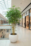 Artificial Japanese Bamboo Tree 1.6m - House of Isabella AU