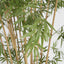 Artificial Japanese Bamboo Tree 1.9m - House of Isabella AU