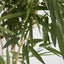 New Bamboo Tree 1m