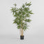 Artificial New Bamboo Tree Budget 1.6m - House of Isabella AU