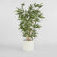 Artificial New Bamboo Tree Budget 1.6m - House of Isabella AU