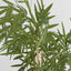Artificial New Bamboo Tree Budget 1.6m - House of Isabella AU