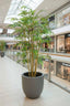 Artificial New Bamboo Tree 1.5m - House of Isabella AU