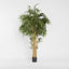 New Bamboo Tree 2.2m