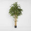 New Bamboo Tree 2.2m