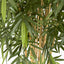 New Bamboo Tree 2.2m