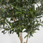 Artificial Olive Tree 1.5m - House of Isabella AU