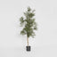 Artificial Olive Tree 1.7m - House of Isabella AU