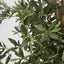 Artificial Olive Tree 1.7m - House of Isabella AU