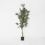 Artificial Olive Tree 2m - House of Isabella AU
