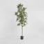 Artificial Olive Tree W/4472 Lvs 2.4m - House of Isabella AU