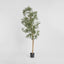 Artificial Olive Tree W/4472 Lvs 2.4m - House of Isabella AU