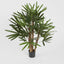 Artificial Raphis Palm W/236 Lves 1m - House of Isabella AU
