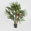 Artificial Raphis Palm W/236 Lves 1m - House of Isabella AU