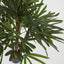 Artificial Raphis Palm W/236 Lves 1m - House of Isabella AU