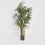 Artificial Raphis Palm W 333 Lvs 1.5m - House of Isabella AU
