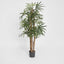 Artificial Raphis Palm W 333 Lvs 1.5m - House of Isabella AU