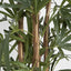 Artificial Raphis Palm W 333 Lvs 1.5m - House of Isabella AU