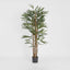 Artificial Raphis Palm (Thin Leaf) 1.7m - House of Isabella AU