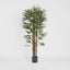 Artificial Raphis Palm (Thin Leaf) 1.7m - House of Isabella AU