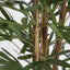 Artificial Raphis Palm (Thin Leaf) 1.7m - House of Isabella AU