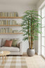 Artificial Raphis Palm (Thin Leaf) 1.7m - House of Isabella AU