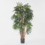 Artificial Raphis Palm (Broad Leaf) 1.8m - House of Isabella AU
