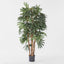 Artificial Raphis Palm (Broad Leaf) 1.8m - House of Isabella AU