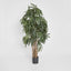 Artificial Raphis Palm (Thin Leaf) 1.8m - House of Isabella AU