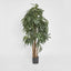 Artificial Raphis Palm (Thin Leaf) 1.8m - House of Isabella AU