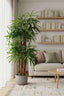Artificial Raphis Palm (Thin Leaf) 1.8m - House of Isabella AU
