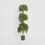 Artificial Sweet Bay Triple Ball Tree 1.7m - House of Isabella AU